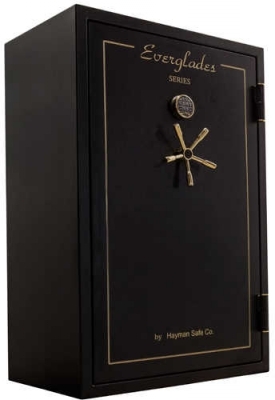 5939 Hayman gun Safe