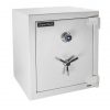 DV-2219 Burglar & Fire Safe